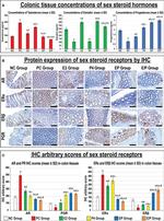 Estrogen Receptor alpha Antibody in Immunohistochemistry (IHC)