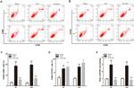 CD163 Antibody in Flow Cytometry (Flow)