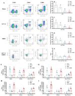 CD3 Antibody in Flow Cytometry (Flow)