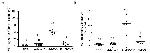 CD4 Antibody in Flow Cytometry (Flow)