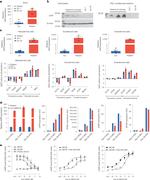ASIP Polyclonal Antibody