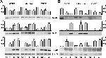Rabbit IgG (H+L) Cross-Adsorbed Secondary Antibody in Western Blot (WB)