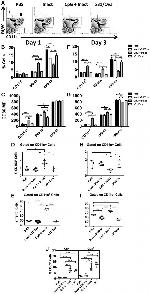 CD289 (TLR9) Monoclonal Antibody (M9.D6), eBioscience™