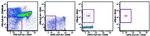 CD45 Antibody in Flow Cytometry (Flow)
