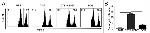 CD8a Antibody in Flow Cytometry (Flow)