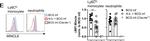 Rat IgG1 Secondary Antibody in Flow Cytometry (Flow)