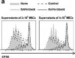 Mouse IgG1 kappa Isotype Control in Flow Cytometry (Flow)