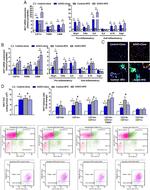 F4/80 Antibody in Flow Cytometry (Flow)