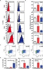 IL-17F Antibody in Flow Cytometry (Flow)