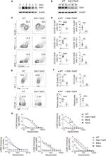 Mouse IgD Antibody in Flow Cytometry (Flow)