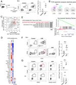 CD4 Antibody in Flow Cytometry (Flow)