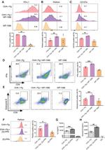 CD274 (PD-L1, B7-H1) Antibody in Flow Cytometry (Flow)