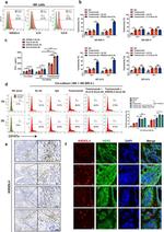 KIR2DL4 Monoclonal Antibody (mAb#33), PE