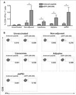 IFN gamma Antibody in Flow Cytometry (Flow)