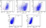CD45 Antibody in Flow Cytometry (Flow)