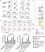 CD69 Antibody in Flow Cytometry (Flow)