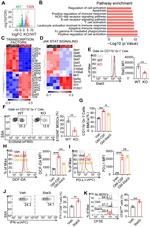 S100A8 Antibody in Flow Cytometry (Flow)