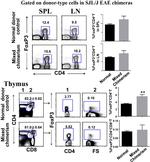 FOXP3 Antibody in Flow Cytometry (Flow)