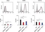 CD11b Antibody in Flow Cytometry (Flow)