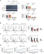 CD11b Antibody in Flow Cytometry (Flow)