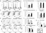 FOXP3 Antibody in Flow Cytometry (Flow)