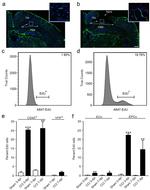 CD45 Antibody in Flow Cytometry (Flow)