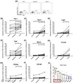 CD160 Antibody in Flow Cytometry (Flow)
