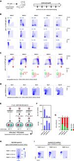 Integrin beta 7 Antibody in Flow Cytometry (Flow)