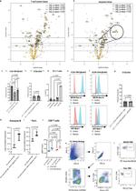 CD253 (TRAIL) Antibody in Inhibition Assays (Inhibition)