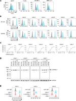 GPIP137 Antibody in Flow Cytometry (Flow)