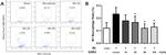 CD11b Antibody in Flow Cytometry (Flow)
