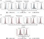 MBL2 Antibody in Flow Cytometry (Flow)