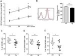 CD19 Antibody in Flow Cytometry (Flow)