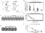CD24 Monoclonal Antibody (SN3), FITC