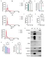CD63 Monoclonal Antibody (MEM-259), APC