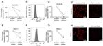 TAS2R14 Antibody in Flow Cytometry (Flow)