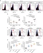 CD4 Antibody in Flow Cytometry (Flow)
