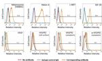 c-Met Antibody in Flow Cytometry (Flow)