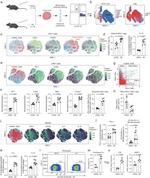 CD279 (PD-1) Antibody in Flow Cytometry (Flow)