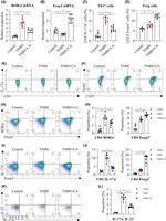 IL-22 Antibody in Flow Cytometry (Flow)
