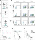 Desmoglein 2 Antibody in Flow Cytometry (Flow)