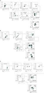 CD8a Antibody in Flow Cytometry (Flow)