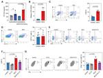 CD8a Antibody in Flow Cytometry (Flow)