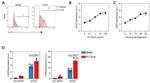 CD135 (Flt3) Antibody in Flow Cytometry (Flow)