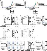 CD366 (TIM3) Antibody in Flow Cytometry (Flow)