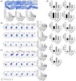 IL-13 Antibody in Flow Cytometry (Flow)