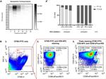 CD56 (NCAM) Antibody in Flow Cytometry (Flow)
