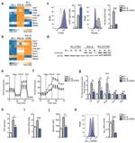 RELM alpha Antibody in Flow Cytometry (Flow)