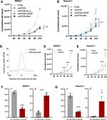 c-Fos Antibody in ChIP Assay (ChIP)