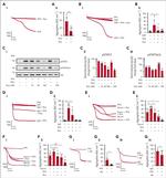 c-Mpl Antibody in Neutralization (Neu)